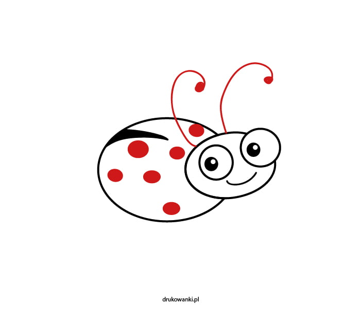 nauka rysowania biedronki