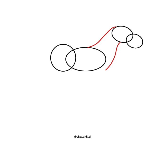 konik jak narysować