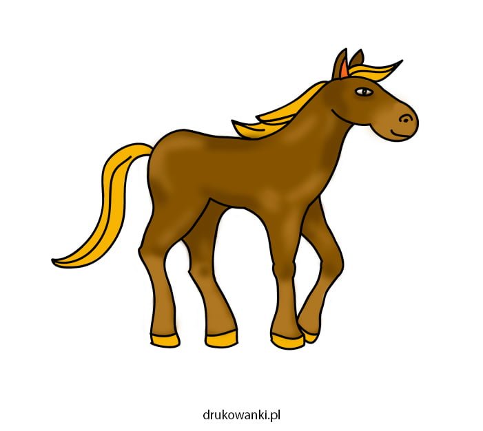 rysunek konia gotowy