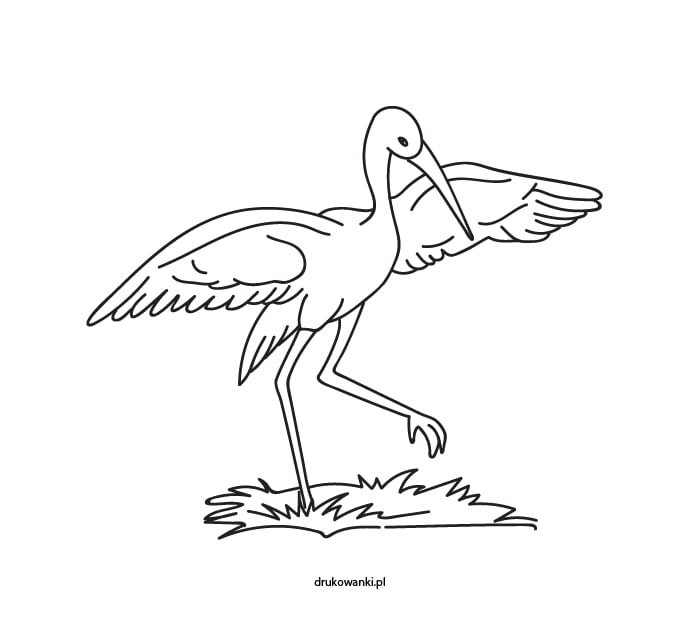 bocian kolorowanka