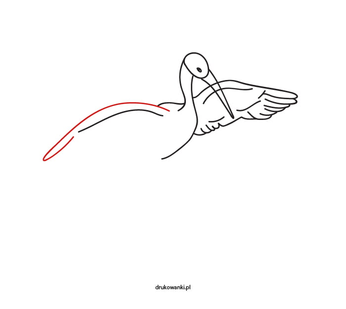 bocian jak narysować
