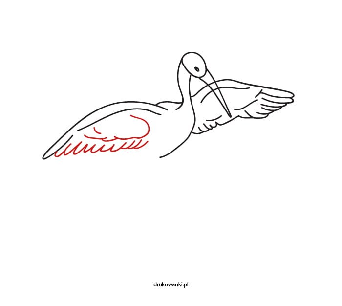 bocian jak narysować