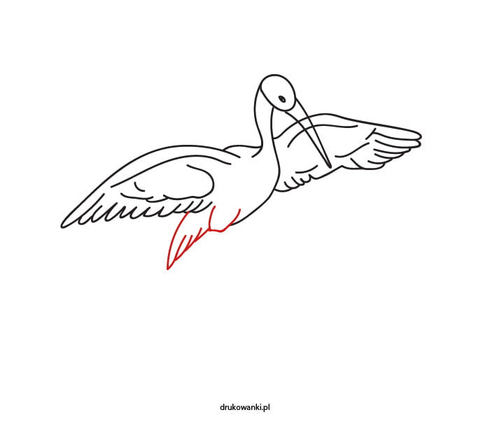 krok po kroku bocian rysunek