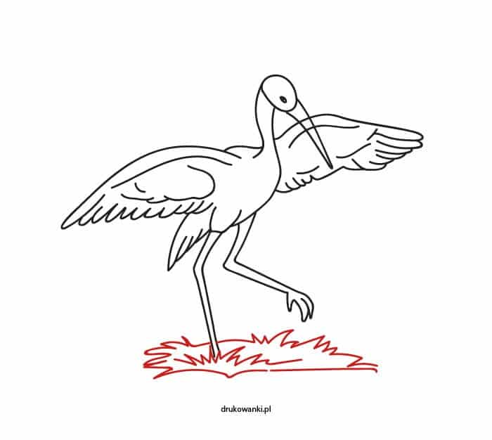 ćwiczenia rysunku bocian