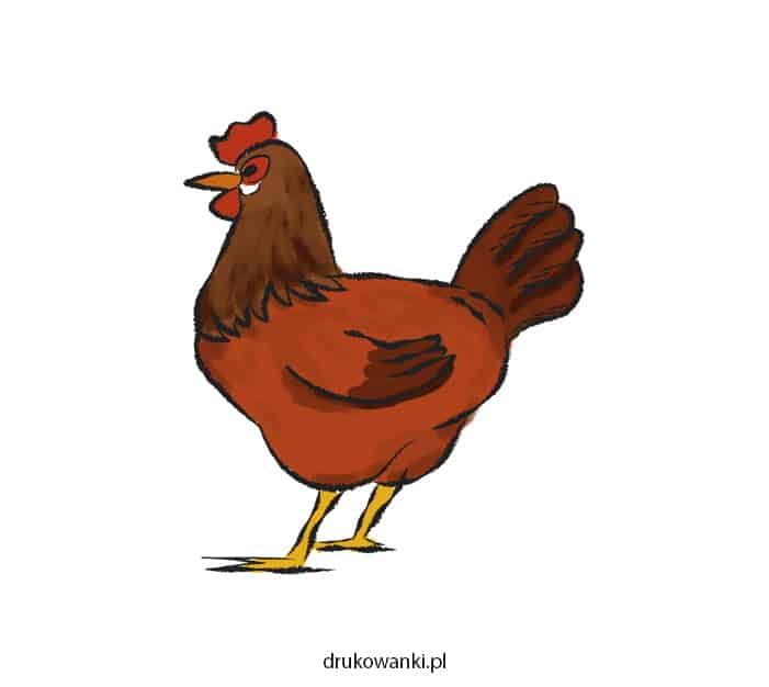 kolorowa kura rysunek