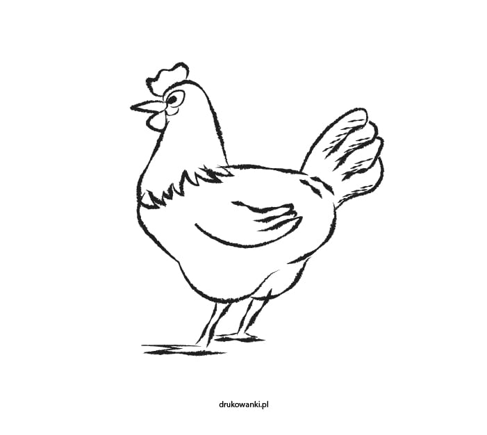 kura kolorowanka dla dzieci