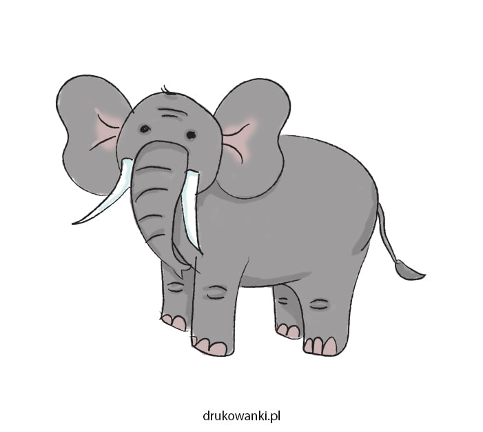 rysunek słonia