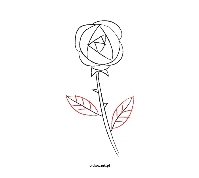 инструкция для детей как нарисовать розу