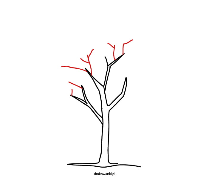 jak narysować drzewo