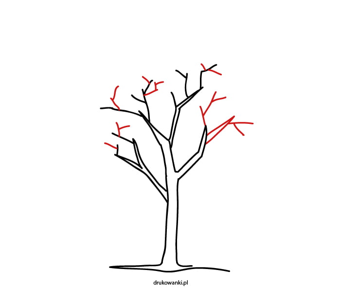 drzewo rysunek