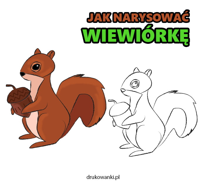 jak narysować wiewiórkę