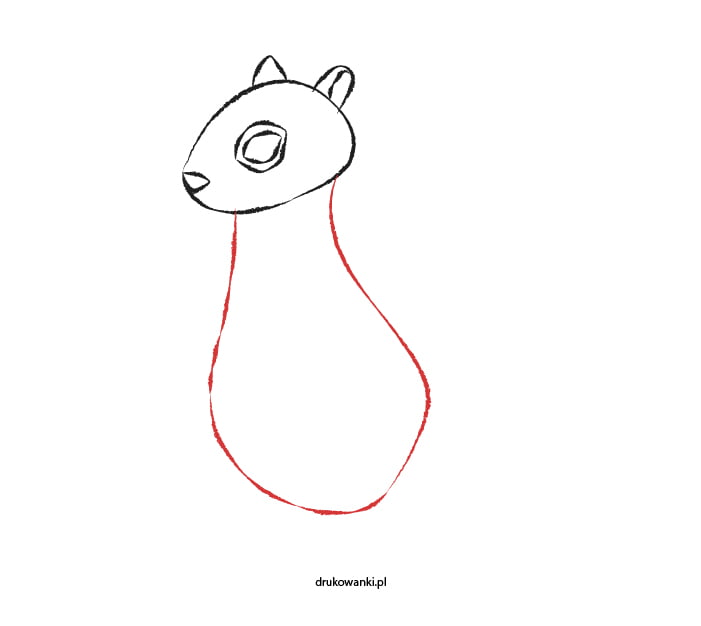 rysowanie wiewiórki