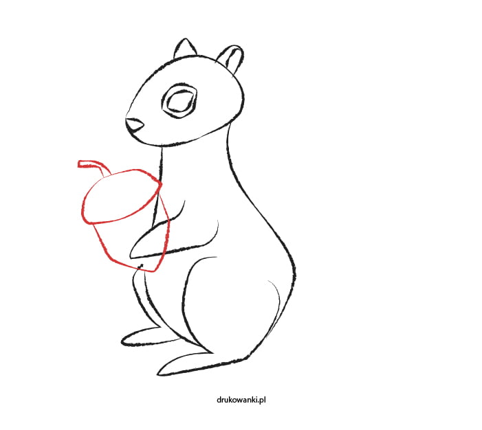 jak narysować wiewiórkę