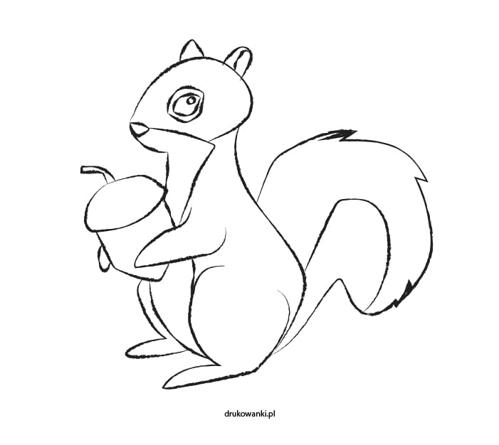 wiewiórka kolorowanka dla dzieci