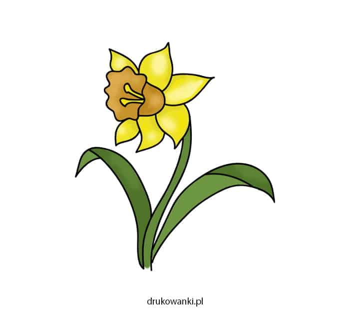 jak narysować wiosenne kwiaty