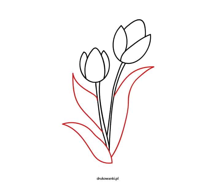 rysunek tulipanów dla dzieci