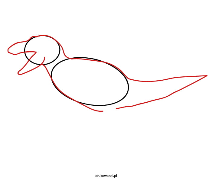 jak narysować trexa