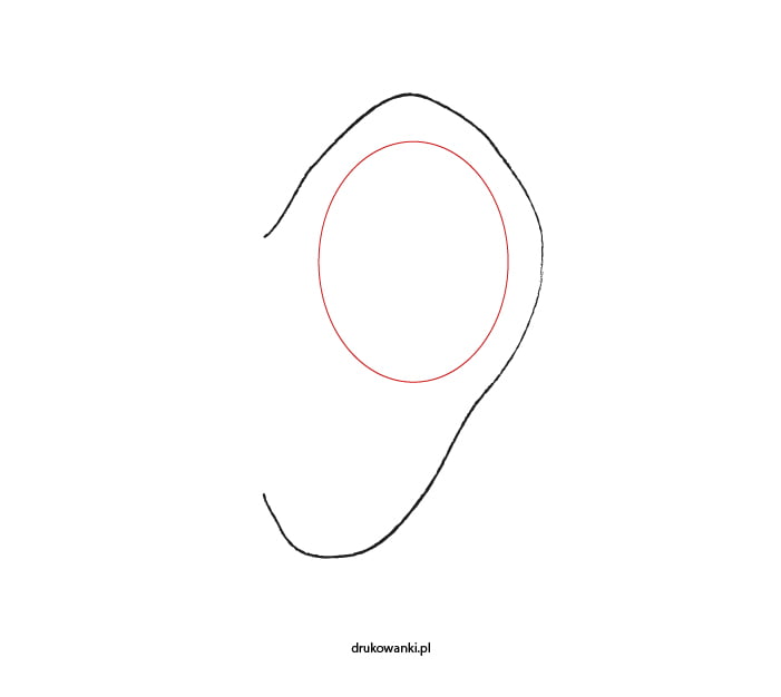 rysowanie ucha ćwiczenie