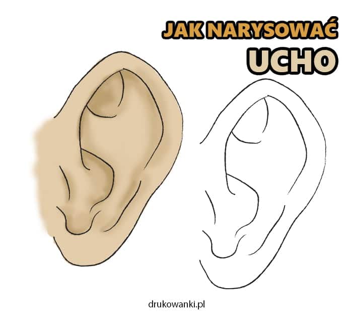 jak narysować ucho instrukcja