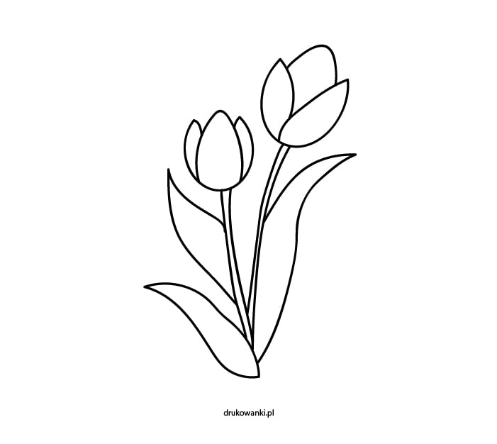 tulipany kolorowanka