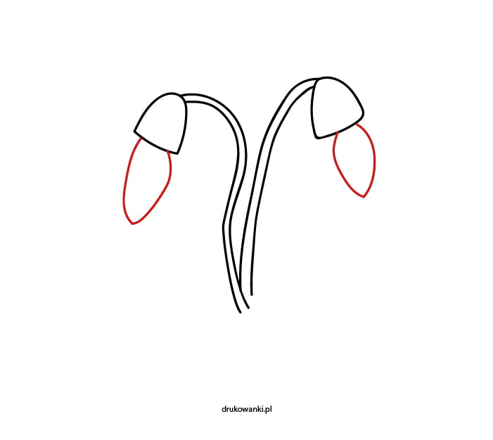 jak narysować przebiśniega