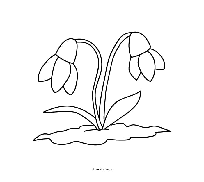 malowanka przebiśniegi