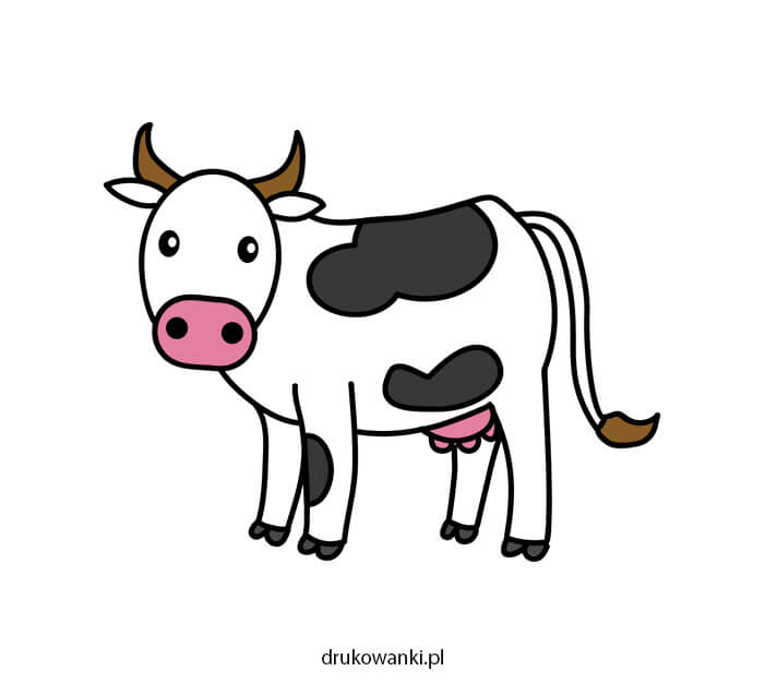 kolorowy obrazek krowy