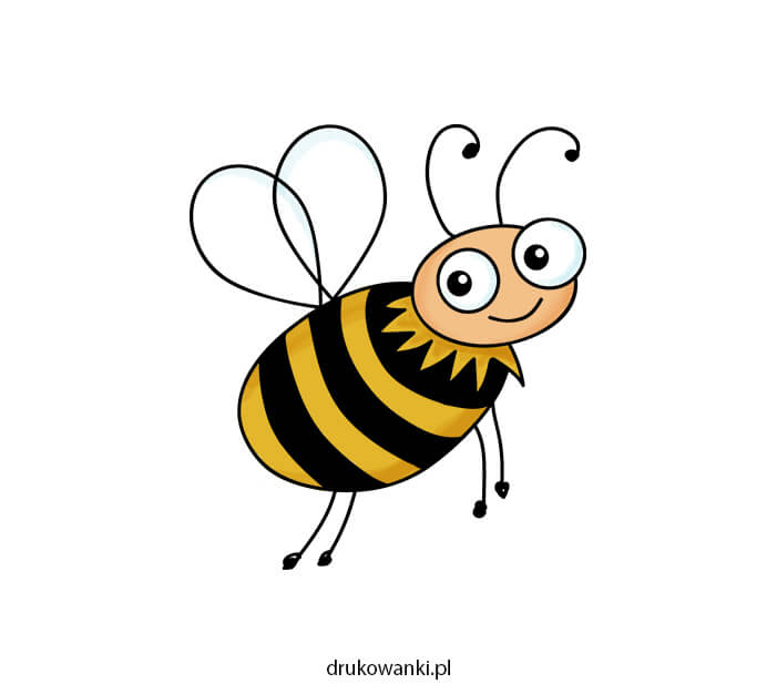 jak narysować pszczołę