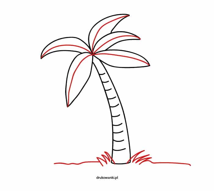 palma prosty rysunek