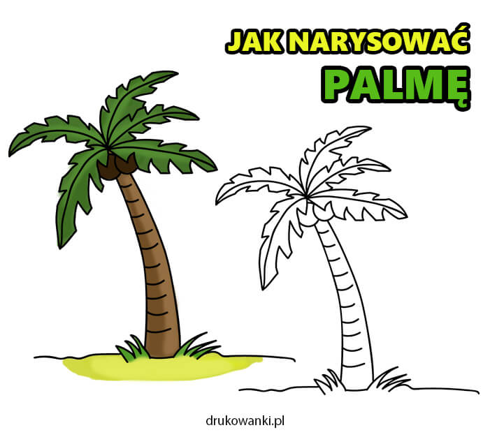 jak narysować palmę instrukcja w obrazkach krok po kroku