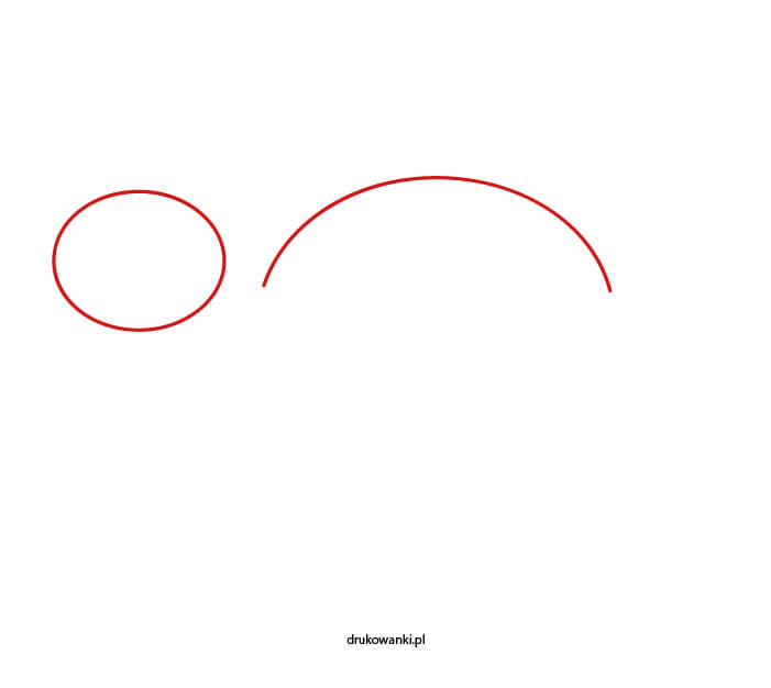 żółw instrukcja rysowania