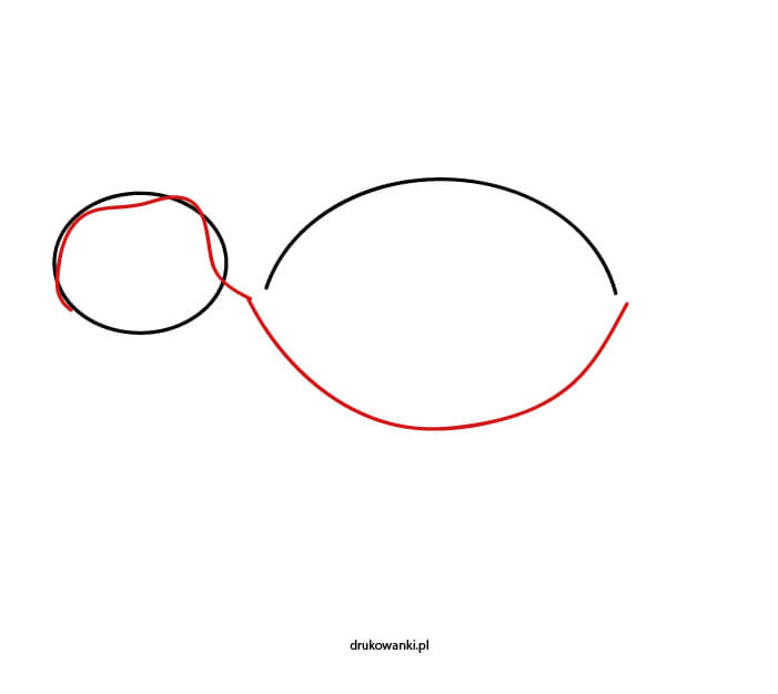 jak narysować żółwia