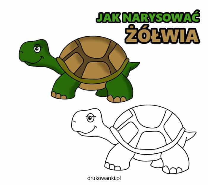 jak narysować żółwia instrukcja