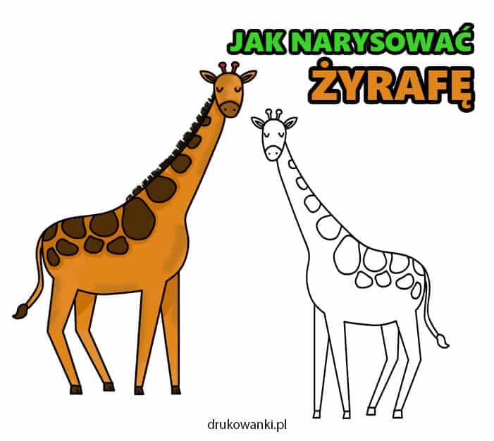 jak narysować żyrafę instrukcja