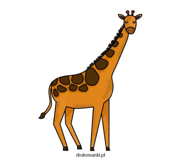 kolorowy rysunek żyrafy