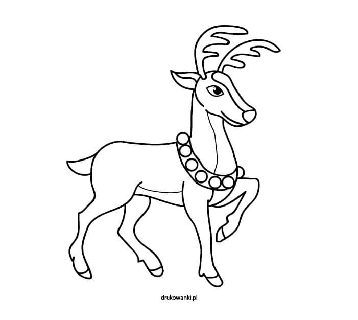 renifer kolorowanka