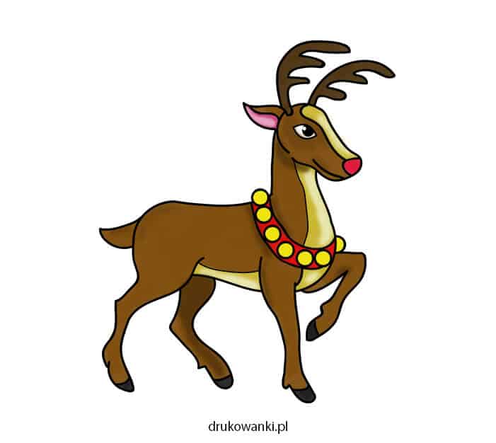 obrazek renifera