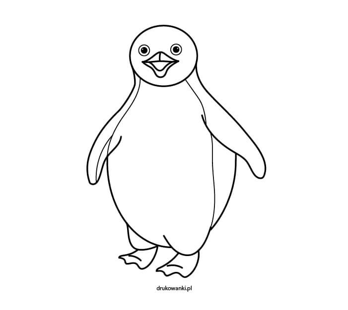 kolorowanka pingwina