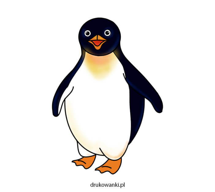 kolorowy rysunek pingwina