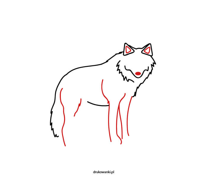 nauka rysowania wilka