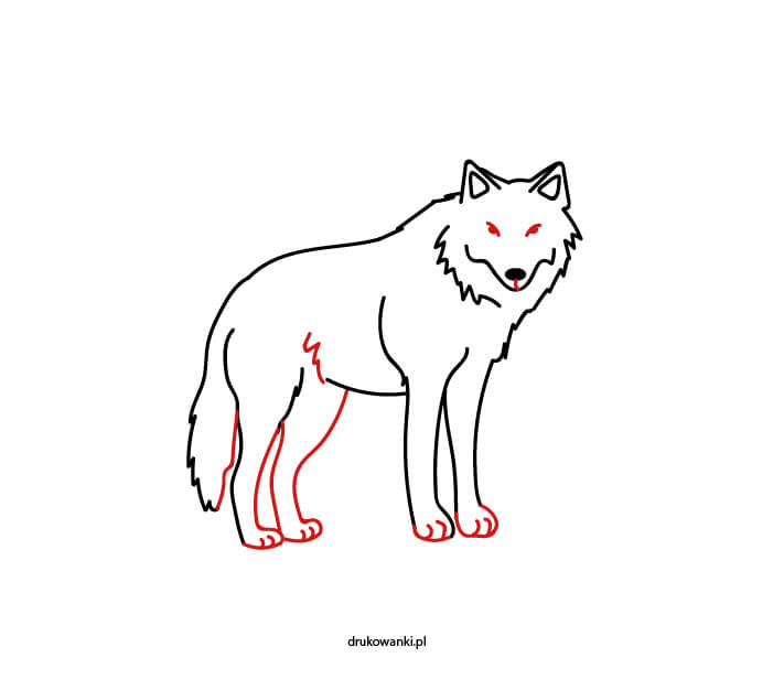 wilczek rysunek