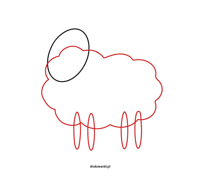 owieczka jak narysować