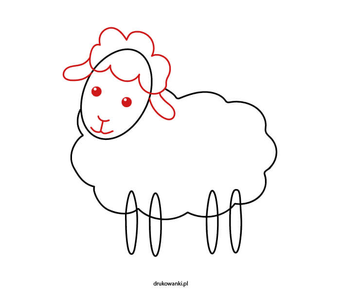 jak narysować buzię owcy