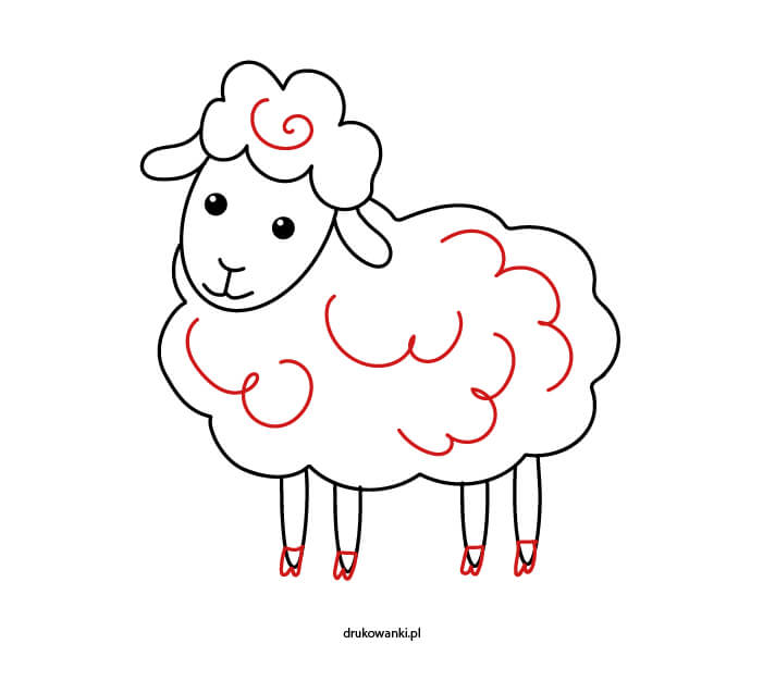 owieczka krok po kroku rysunek