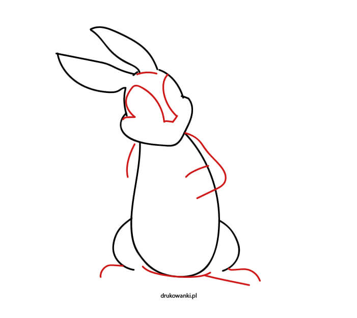 Piotruś królik rysunek krok po kroku