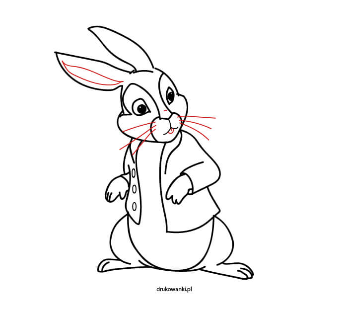 narysuj króliczka Piotrusia