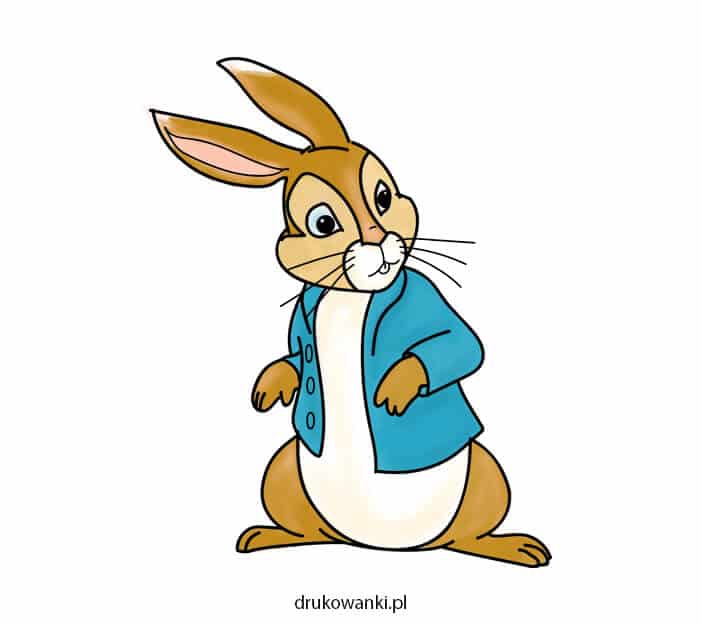 Piotruś królik kolorowy rysunek