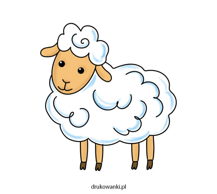 łatwy rysunek owcy