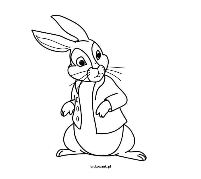 kolorowanka z królikiem Piotrusiem