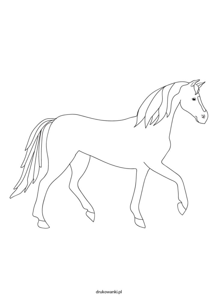 konie rysunki do kolorowania